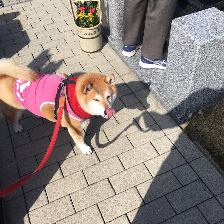 F5bb21e8 0801 45fa a3e3 bf3400da6f05 1616051842040