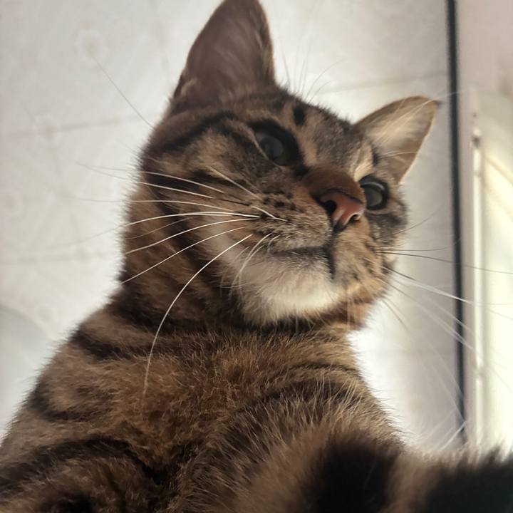 F5bb27dd 7ac8 4ead ad43 d444c217e505 1754773526884