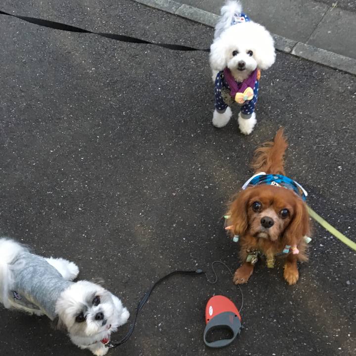 F5bb44c1 bdc2 4518 823f 83c54f2028be 1510907014507