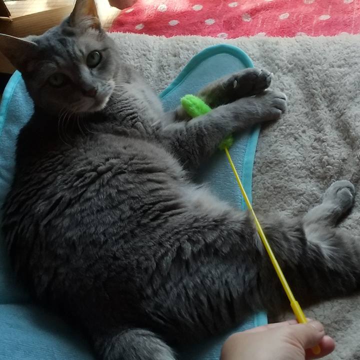 F5bb4709 8061 4a8a b7c6 9b44a42f6c60 1686963536819