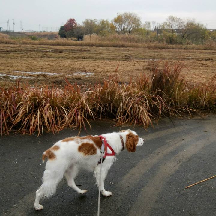 F5bb6cb9 fb0a 4ef8 a028 9161ee448114 1545463190548