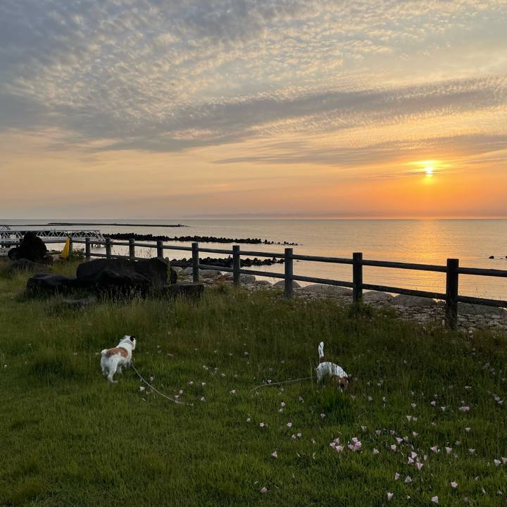 F5bb8184 8acf 482b 8225 ca29c3f2b25e 1654078293933