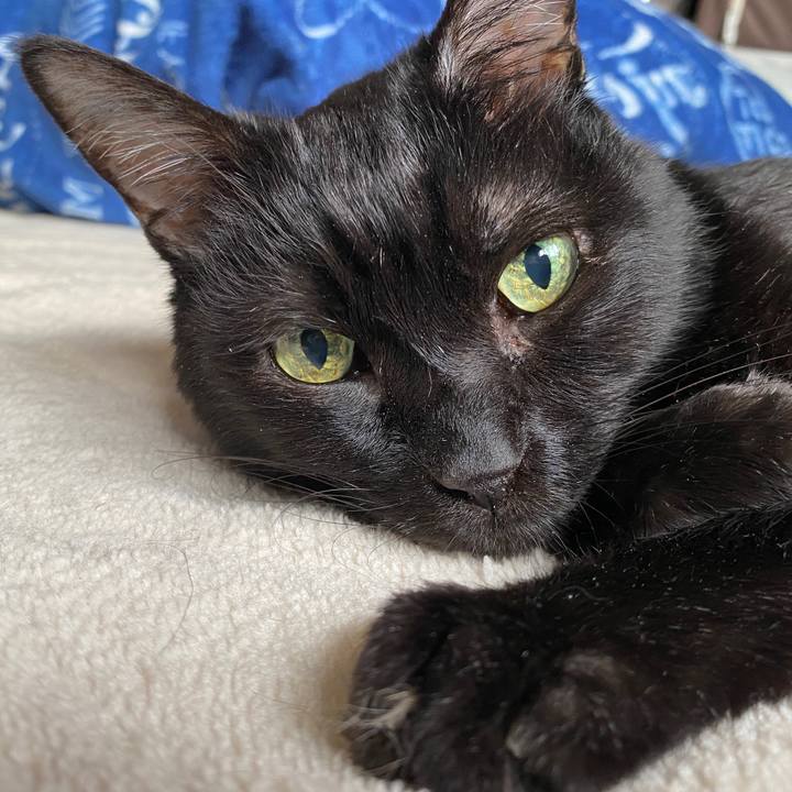 F5bba90f 8d1f 4087 973e 71951b4121a9 1651738772264