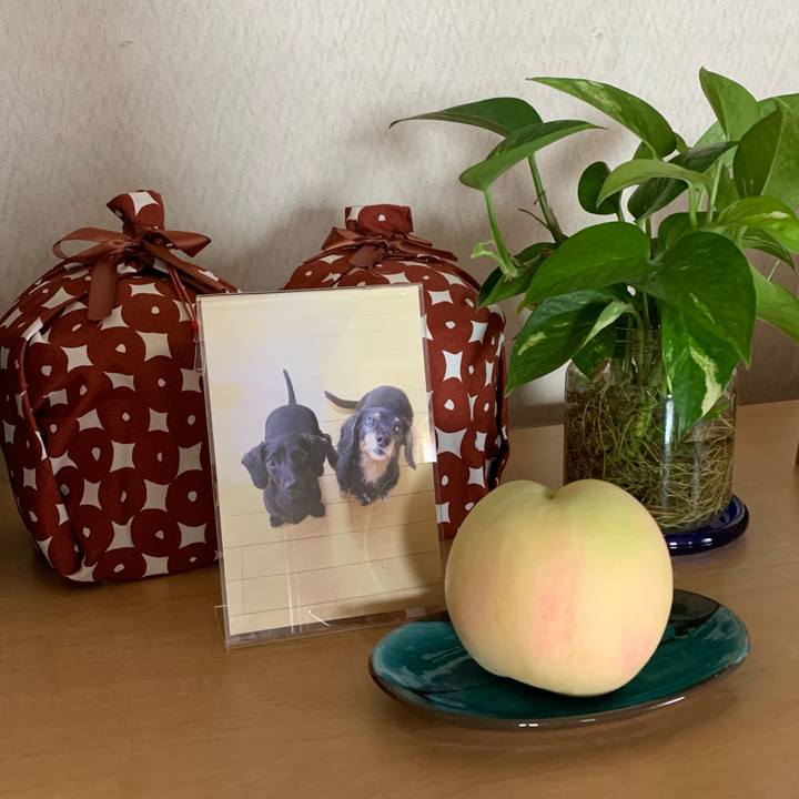 F5bbbd5a 119e 4eb8 8bbe 1f6e07230cc5 1722563924024