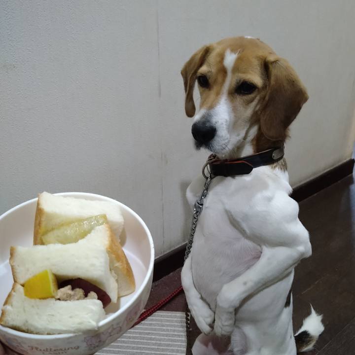 F5bbdf35 cf7f 4d2b b465 f2292248ac7b 1640356619913