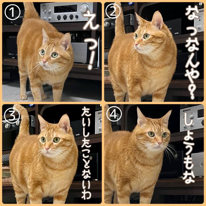 F5bc199b a935 413e 8635 cba12cadceaa 1679437492035