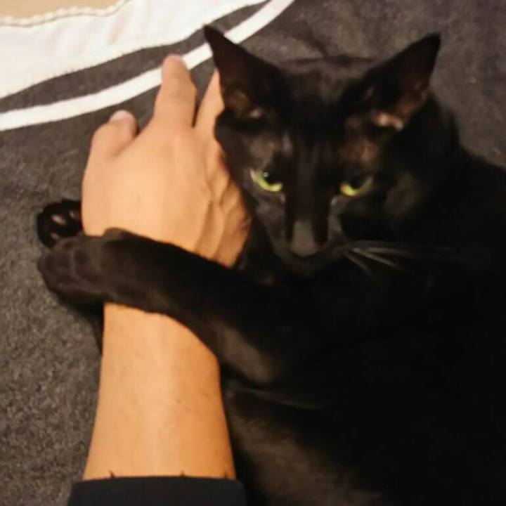 F5bc41f0 d0c0 4d96 868d 3c377c6311db 1545265916047