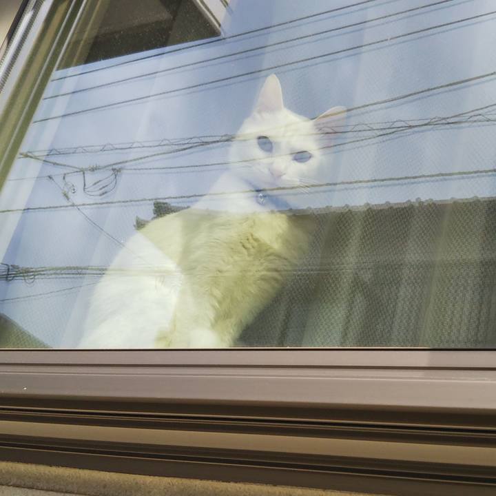 F5bc49ca a9a1 4010 b169 e6a46b53e6ae 1646191892457