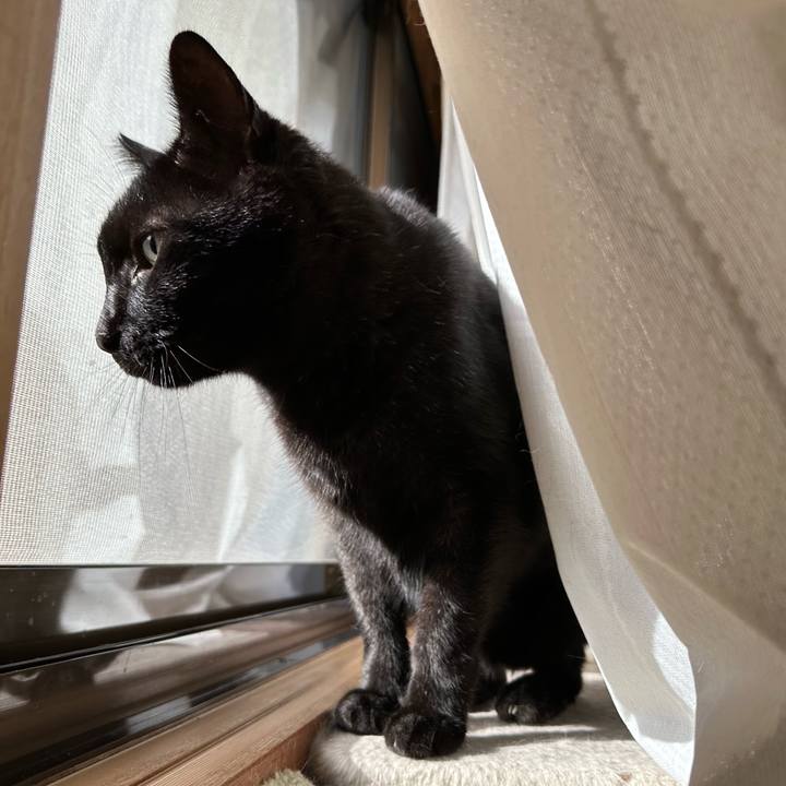 F5bc54e0 7f08 4bfc 9ba2 94bbfdf2d035 1666664508673