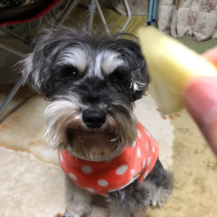 F5bc86c0 beda 490b b579 eca44b462955 1550271743445