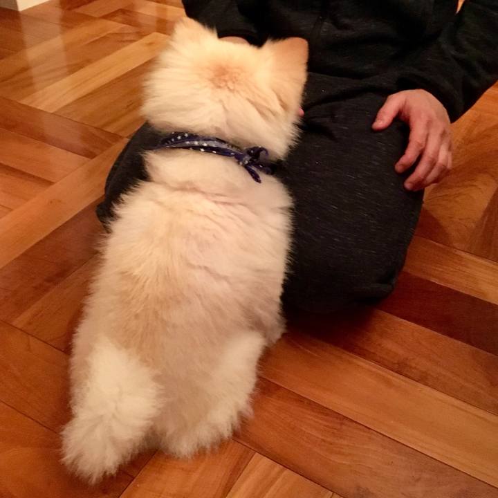 F5bcaee5 5e88 4c70 9445 5456af551a8d 1551741767252