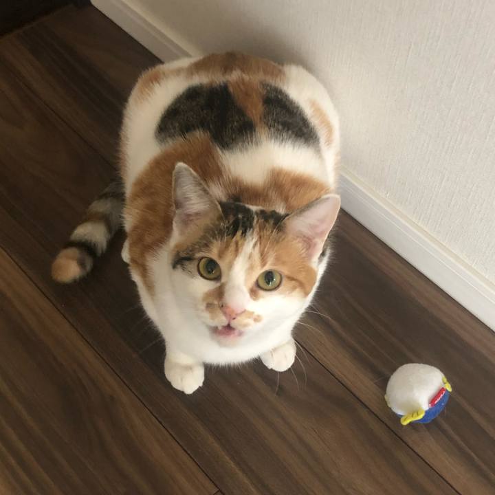 F5bd4a0f 93a1 42bb 9425 22118e2dbe61 1583710669109