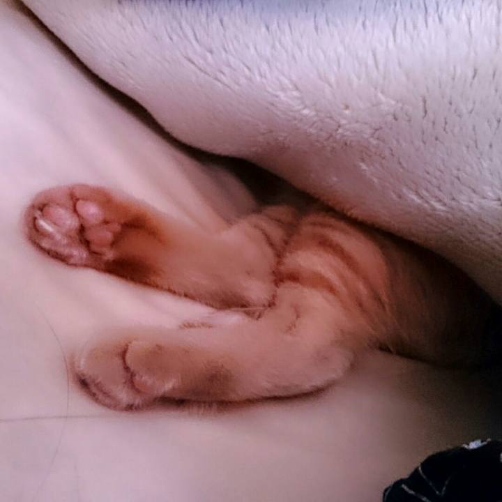 F5bd7c0a c662 406a bd7d 8bf37146e059 1551657935507