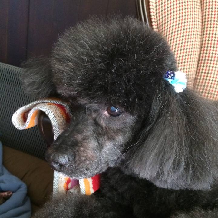 F5bd8610 f5cd 4237 add6 c6f07c569ee7 1549252867752