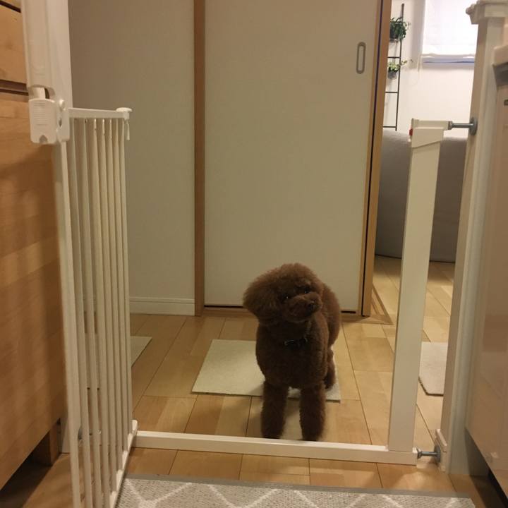 F5bda482 40e8 4d68 958b bff4dc3fc85a 1527501150726