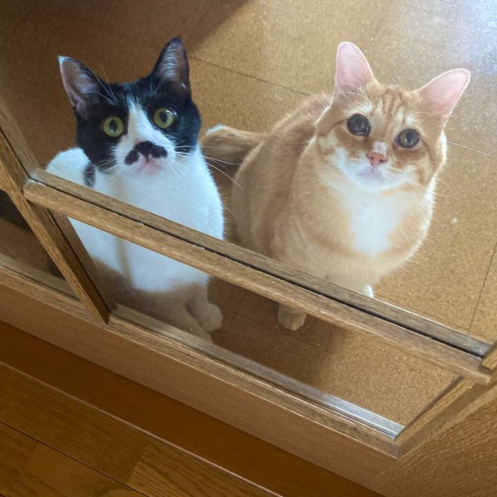 F5bda972 fab4 4b0b 86f6 02c4307b2634 1756782013927