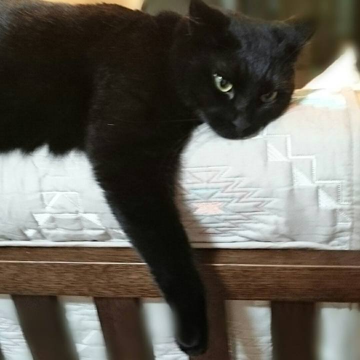 F5bdcad7 ff7d 48c6 a175 f49c91574cb6 1529508124191