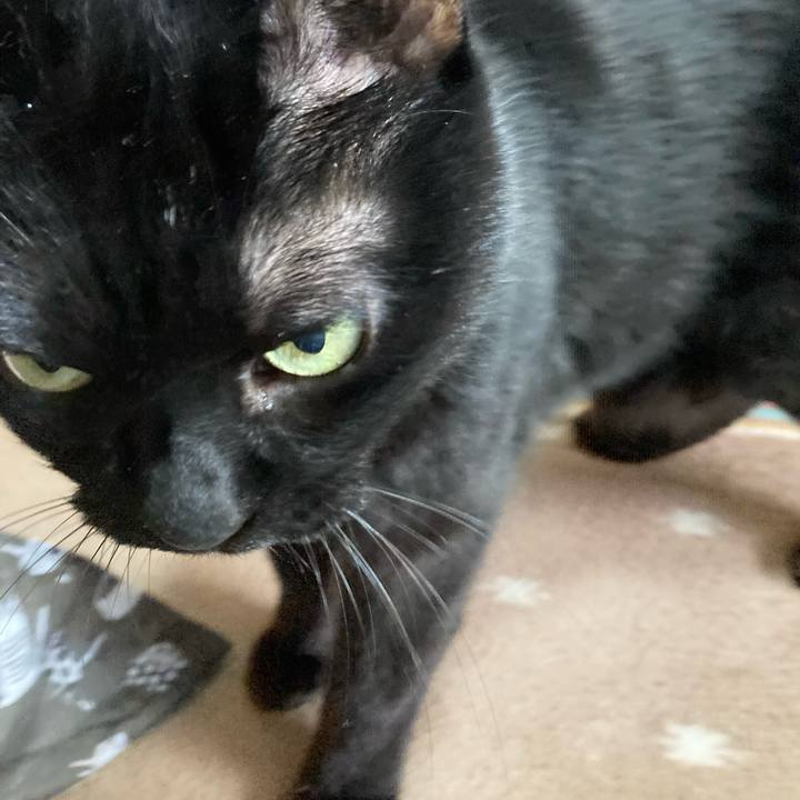 F5bdd02b 6db7 43c2 8930 9395d2303528 1768367404364