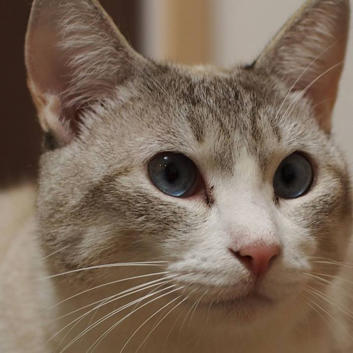 F5bde400 e636 4a30 ab5f e70e4db3977f 1540039194940