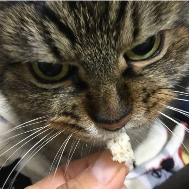 F5be0bd5 ad6e 43ac af67 8d391570eabb 1765024393255