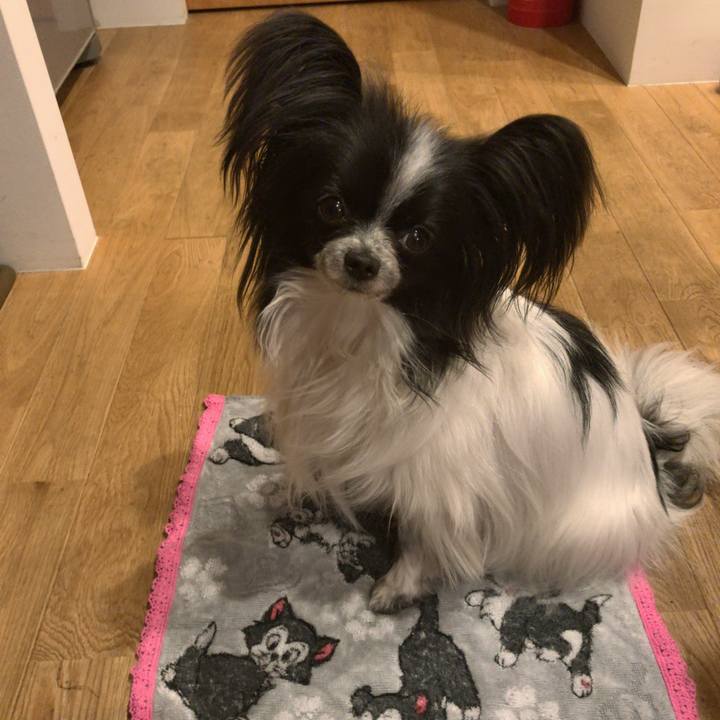 F5be57f3 8929 452c afb3 a098574f1b37 1525642605000