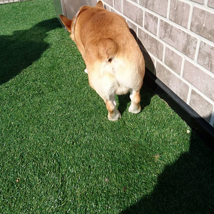 F5be78eb 4faf 498b be79 7e74de68cde5 1581388295152