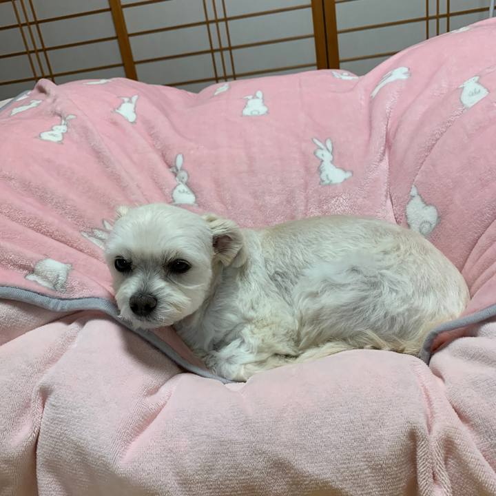 F5bf0c3e 21f9 4eb8 a0a6 6c685a4fcac2 1606128982318