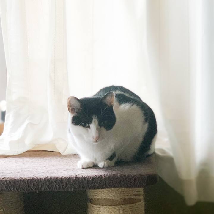 F5bf0d85 0ffd 4263 997a 4d9d0dcae347 1579053524356