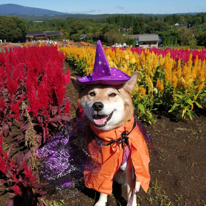 F5bf2518 7b97 4e6f 833f 75e9b8f815e0 1632059969680