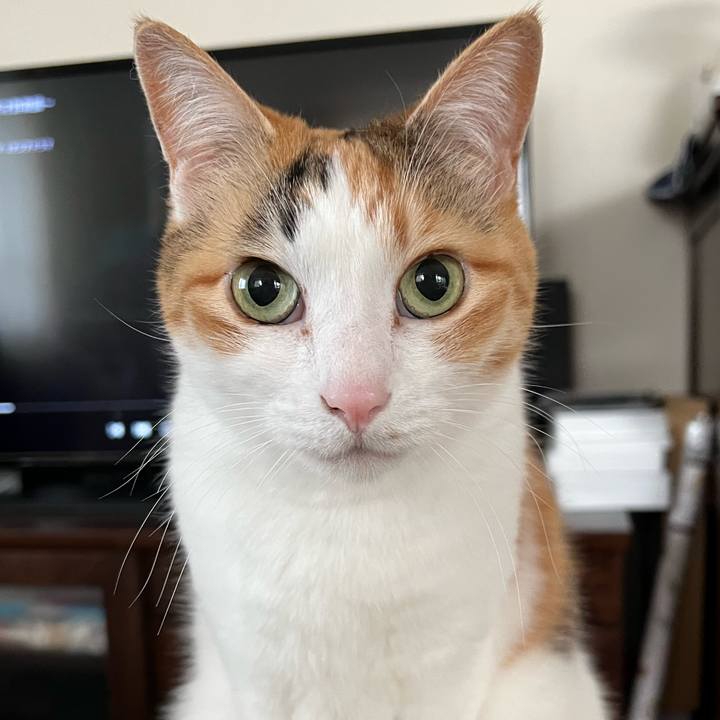 F5bf6f0b 8fd2 4a9e acb7 f93f8b89dbf9 1772058999999