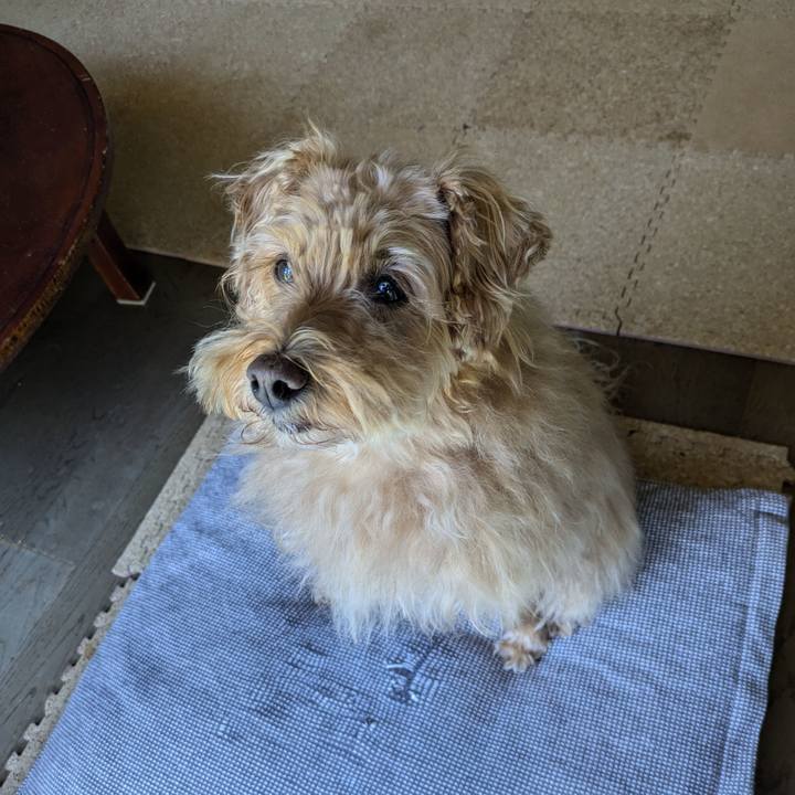 F5bf703e a0e3 4f68 a5ee 22b02a62c39b 1728783135302