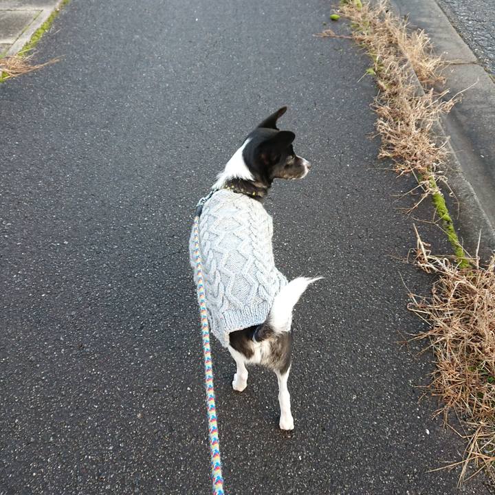 F5bf842c 5035 4f55 bd5c a30412519cde 1545046492538