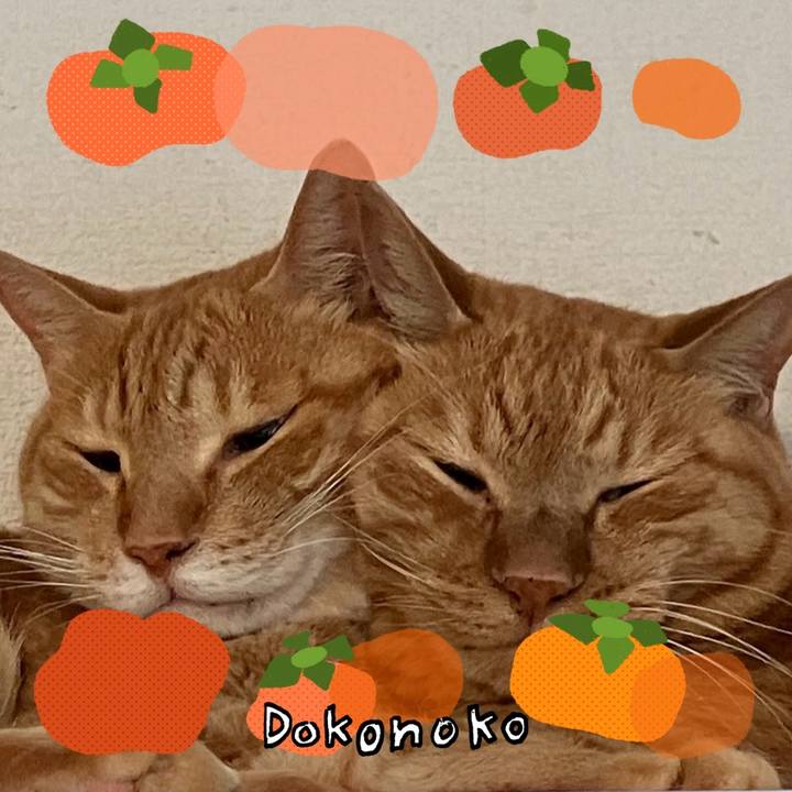 F5bf967f c22f 48c0 ae4b d979b08a056d 1761098858166