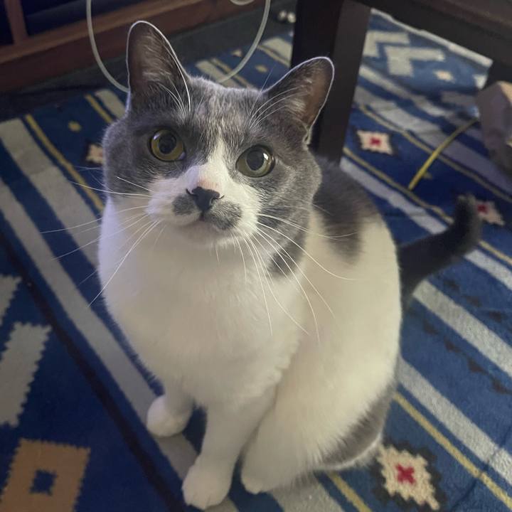 F5bfbb65 9c01 494d b193 defcc9c00cd4 1684031499863