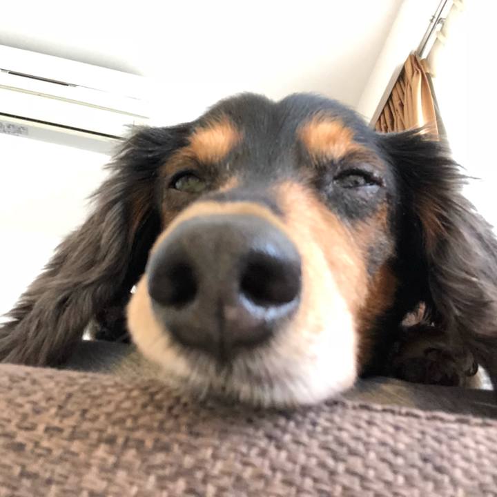 F5bfc2d0 1944 429b 9e0b 9319135cf85b 1541292258616