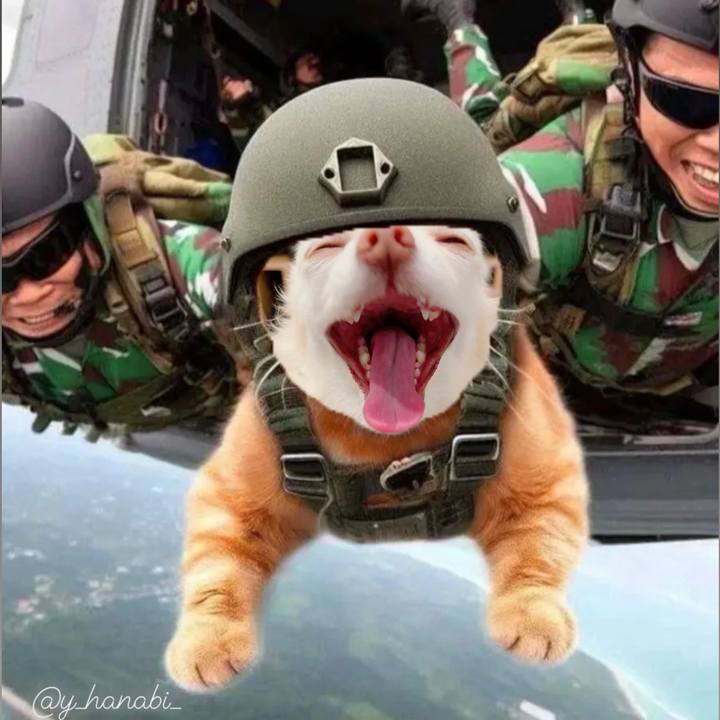 F5bfd781 d184 4f5e b9fe e38bab6f28d6 1707478167569