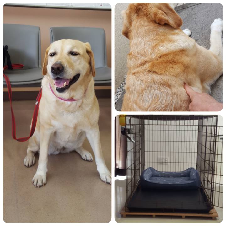 F5bfdcf2 8b76 4b77 a554 ee0f31ac7051 1591670330147