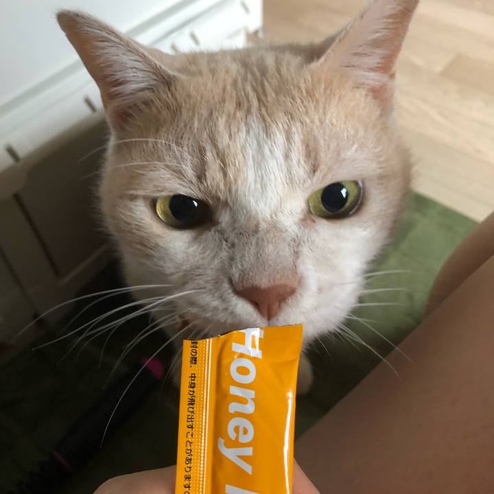 F5bfe351 a09a 41da a99f 182cdf68a318 1604706444378