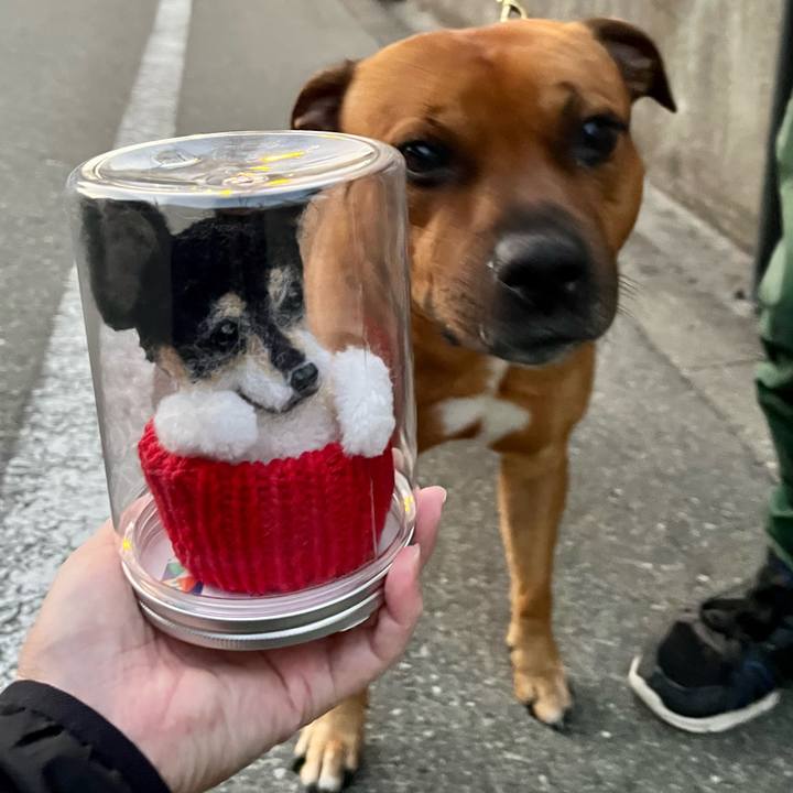 F5c055fd f908 4aa3 91f6 37ea952ef0d4 1667944021225