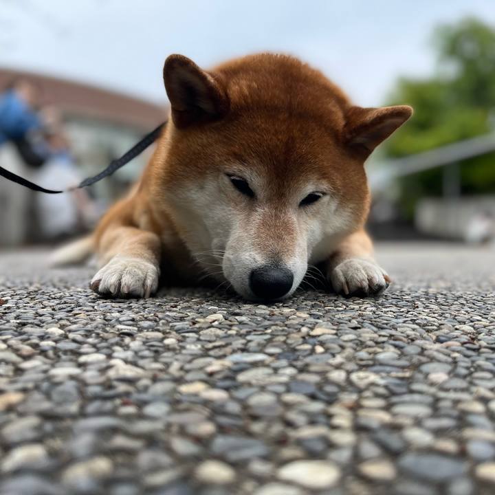 F5c08141 a3ae 4ba3 bea1 4cbc04f8305a 1652607551516