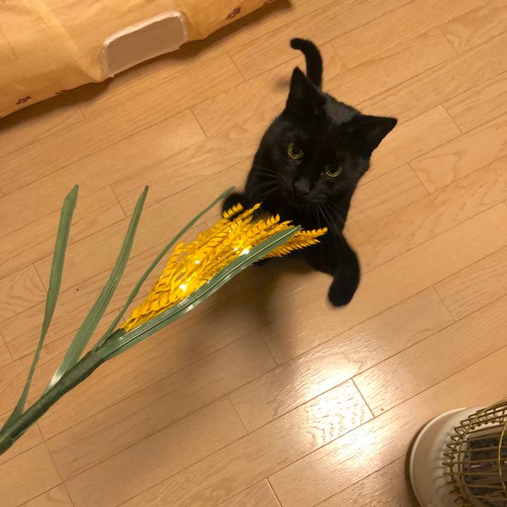 F5c0a58e 6d73 452d ae81 0acbc37cbfae 1575900459148