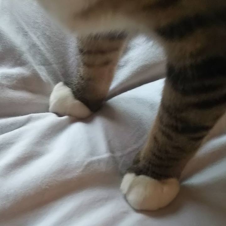 F5c0aecf 92c9 4be7 a855 a087a837daa9 1631049548476