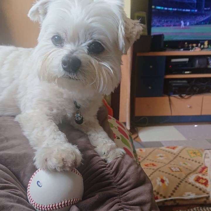 F5c0c939 7099 4618 80a5 71051a18c618 1679447338018