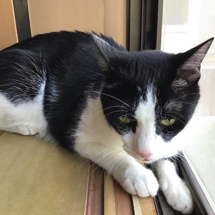 F5c0e561 5a8f 4129 9941 e830d1e7519e 1751281144417