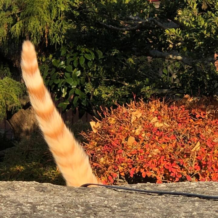 F5c1180e 1f24 445a bfa1 62e07323953e 1543675648745