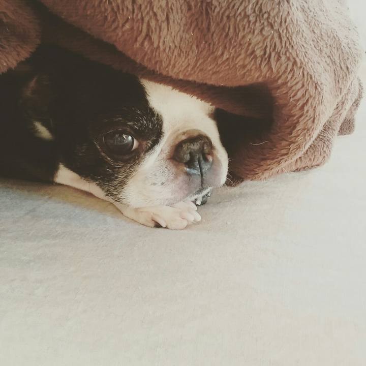 F5c11f9a 6eed 4034 b055 b6a3bdae8e6b 1513512924337