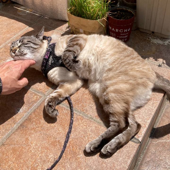 F5c1329f 999a 42f0 b844 423fe0b05b34 1753845684243