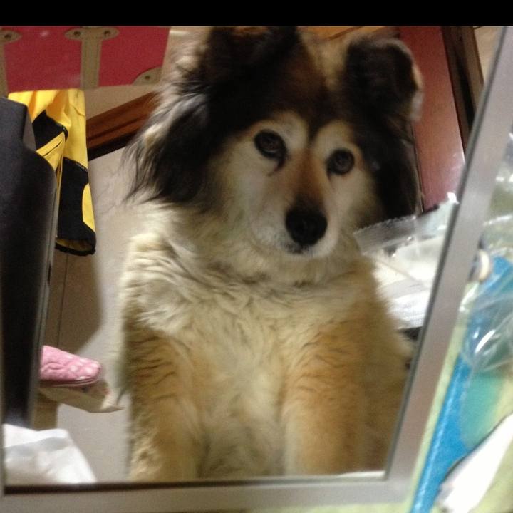 F5c14b50 f02d 463c 8bfe e449ea9c4c68 1553125126931