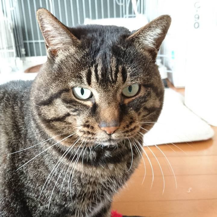 F5c183be df33 4435 9a3a 06a5ec91a822 1515398014776