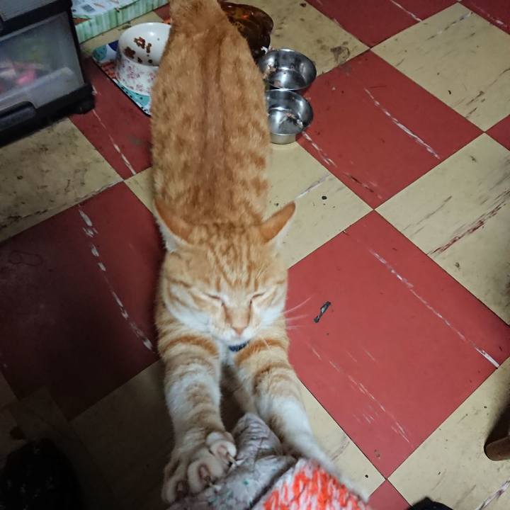 F5c1b6b8 e2d3 406e 8985 3d32785afdb2 1563824344841